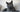 Gato British Shorthair adulto de pelaje gris azulado durante una evaluación veterinaria de medicina felina