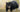 Gato con problema digestivo grave
