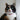 Plan Control Sano Felino