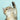 Plan Kitten (Gatito)